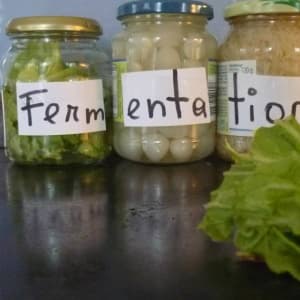 fermentierte Nahrungsmittel