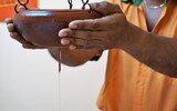 Ayurveda heimisch