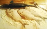 Fisch