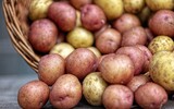 Kartoffel Vielfalt