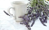 Lavendel 1