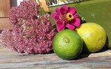 Limettendeo