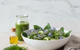 ai/ai heimische superfoods borretsch