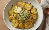 ai/ai kartoffelsalat rezept vegan