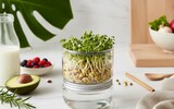 ai/ai pepuplife smart food