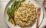 ai/ai sonnenblumenkern risotto
