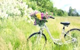 bicycle 788733_1280