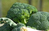 brokkoli gesund