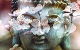 buddha 1279902_1280