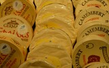 cheese
