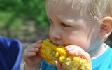 child 559415_1280