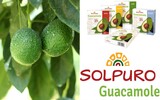 collage solpuro copy