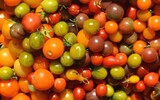 colors 1004375_1280