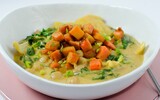 curry meine basis 1