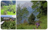 dirndltal collage