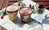 dream ice cream 1 5