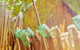 fence 336656_1280