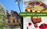 gewinnspiel steinschalerhof