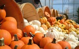 gourds 949112_1280