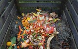 green waste 513609_1280