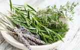herbs medicin