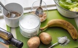 hunde vegan rezept