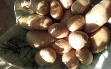 kartoffeln