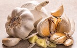 knoblauch gesundheit