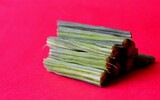 moringa 1