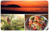 rohkost thailand