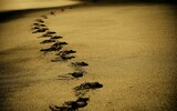 sand 768783_1280