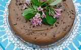 schoko zucchinikuchen 1