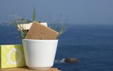 soap 1016857_1280