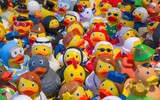 toy ducks 535335_1280