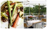 vegan grillen