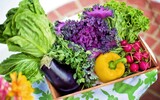 vegetables 790022_1280