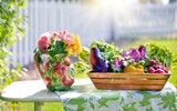 vegetables 790023_1280