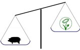 verschwendung