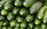 zucchini vergiftung Cucurbitacine